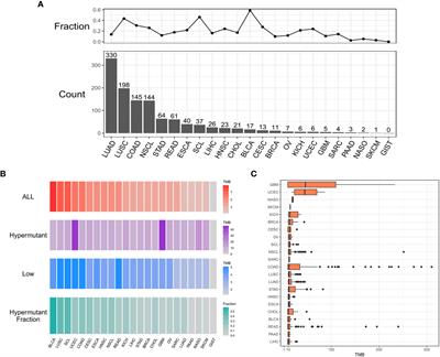 Characteristics of Pan-Cancer Patients With Ultrahigh Tumor Mutation Burden